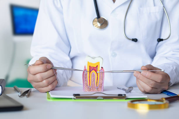 Best Cosmetic Emergency Dentistry in Blue Mound, TX